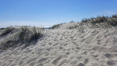 pjrnu dunes ed